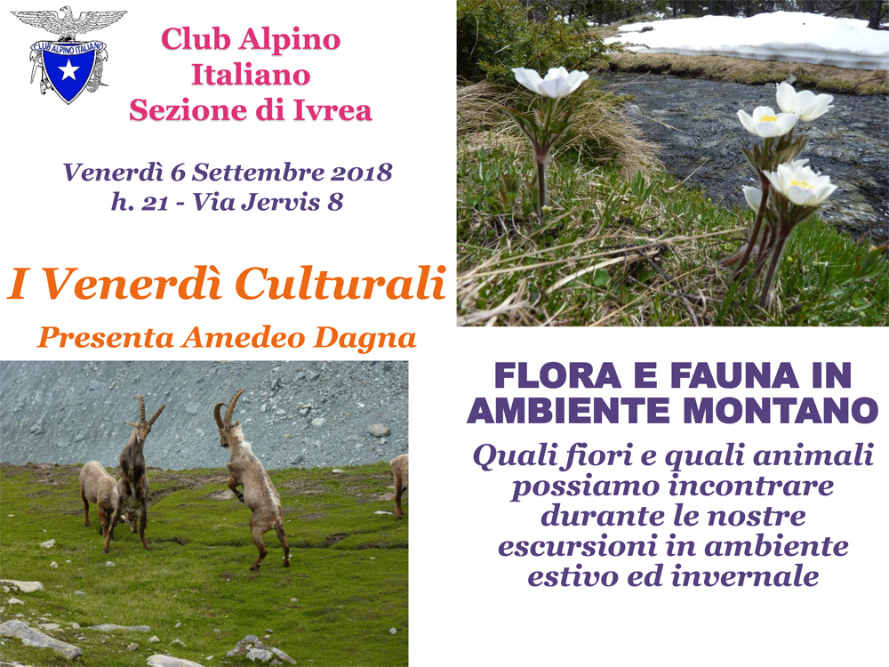 Flora_e_fauna_in_ambiente_montano.jpg